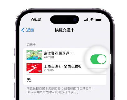 河南apple维修点分享iPhone上更换Apple Pay快捷交通卡手绘卡面 