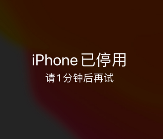 河南苹果手机维修分享:iPhone 显示“不可用”或“已停用”怎么办？还能保留数据吗？ 