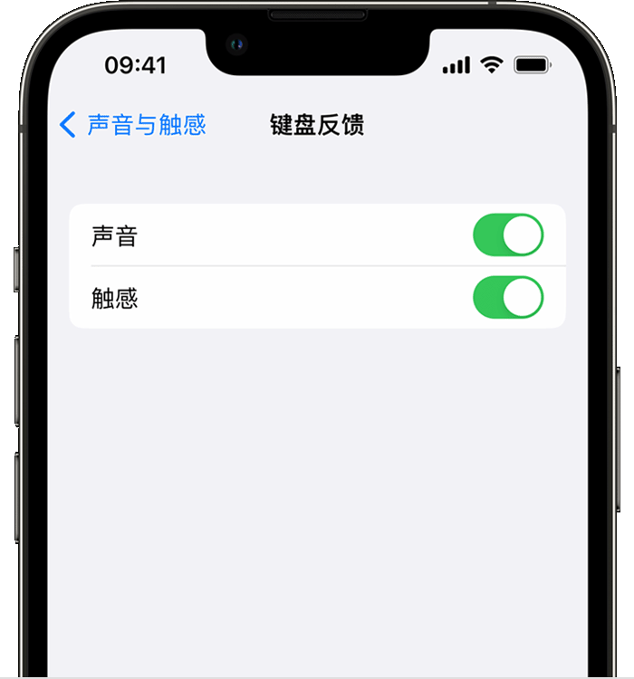 河南苹果14维修店分享如何在 iPhone 14 机型中使用触感键盘 