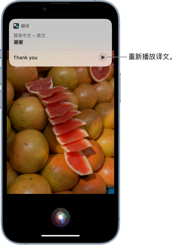 河南苹果14维修分享 iPhone 14 机型中使用 Siri：了解 Siri 能帮你做什么 