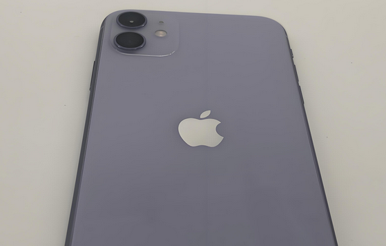 河南苹果11系统维修分享iPhone11手机系统崩溃无法开机如何解决